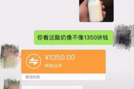 铜陵专业讨债公司，追讨消失的老赖